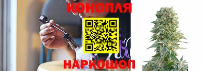 jwh Кандалакша