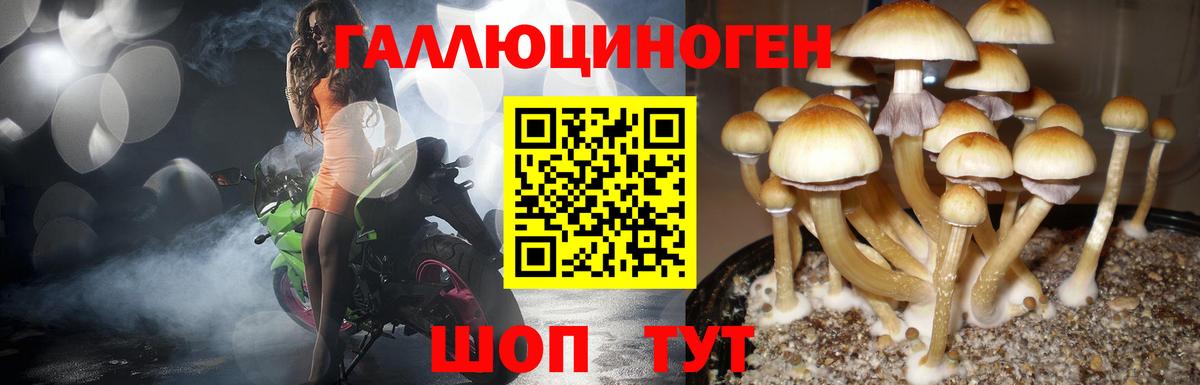 Галлюциногенные грибы Magic Shrooms Лиски